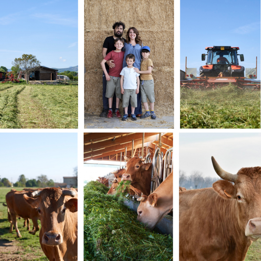 Cheese Producers and Affineurs